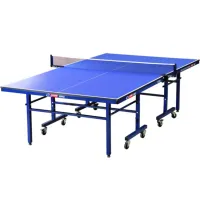 Тенісний стіл DHS T2123