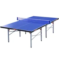 Тенісний стіл DHS T3726