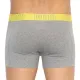 Трусы Puma Bold Stripe Boxer 2-pack Gray/White