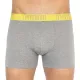 Трусы Puma Bold Stripe Boxer 2-pack Gray/White