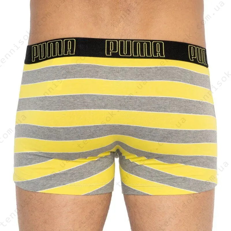 Трусы Puma Bold Stripe Boxer 2-pack Gray/White