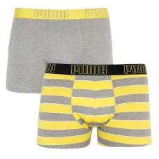 Трусы Puma Bold Stripe Boxer 2-pack Gray/White