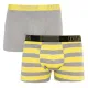 Трусы Puma Bold Stripe Boxer 2-pack Gray/White
