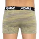 Трусы Puma Bold Stripe Boxer 2-pack Gray/White