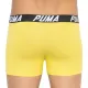 Трусы Puma Bold Stripe Boxer 2-pack Gray/White