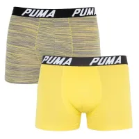 Трусы Puma Bold Stripe Boxer 2-pack Gray/White