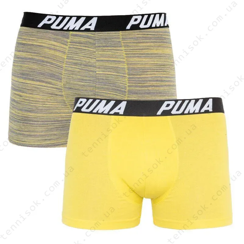 Трусы Puma Bold Stripe Boxer 2-pack Gray/White