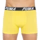 Трусы Puma Bold Stripe Boxer 2-pack Gray/White