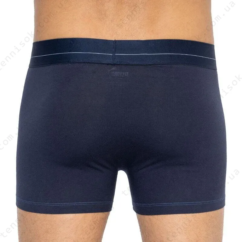 Трусы Puma Statement Boxer 2-pack Blue/Gray