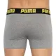 Трусы Puma Statement Boxer 2-pack Gray/Yellow