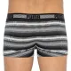 Трусы Puma Worldhood Stripe Trunk 2-pack Black/Gray/White