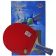 Ракетки для настольного тенниса 729 FS Super 1 Star
