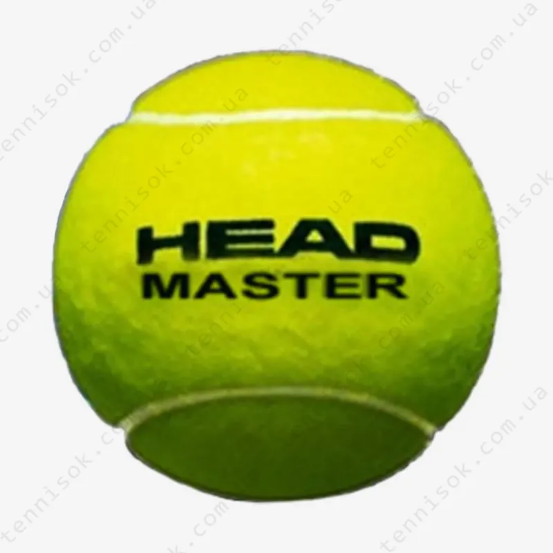 Теннисные мячи Head Master 3ball