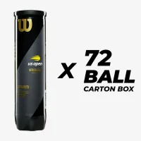 Тенісні м'ячі Wilson US Open Extra Duty 72ball