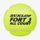 Теннисные мячи Dunlop Fort All Court TS 4ball