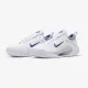 Теннисные кроссовки Nike Court Zoom NXT HC DH0219-111