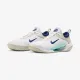 Теннисные кроссовки Nike Court Zoom NXT HC DH0219-141