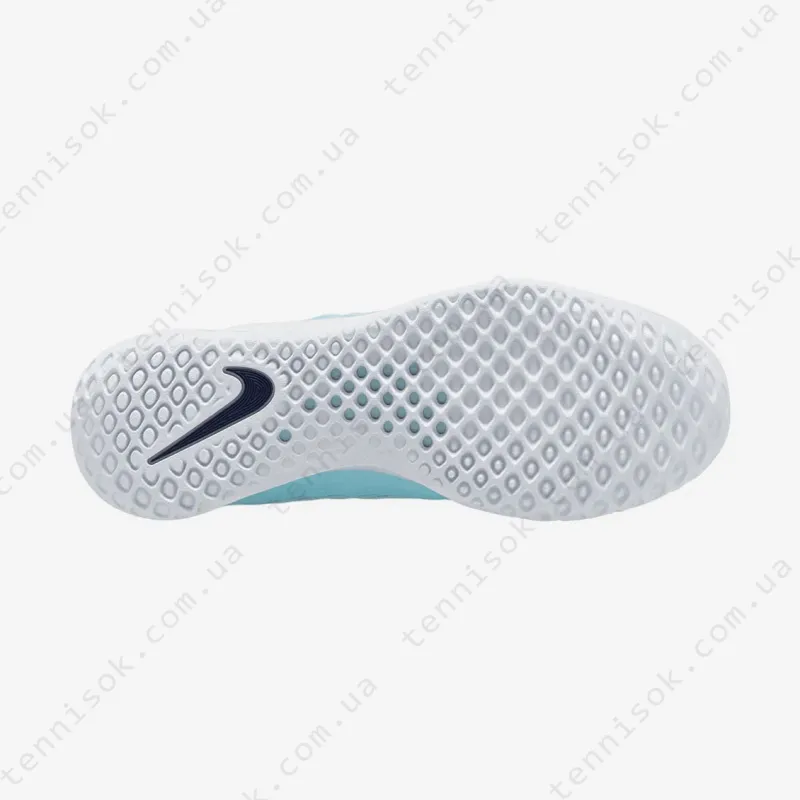 Тенісні кросівки Nike Court Zoom NXT HC DH0219-401