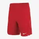 Теннисные шорты Nike Court Dri-FIT Victory CV2545-657
