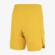 Теннисные шорты Nike Court Dri-FIT Advantage DD8331-738
