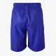 Теннисные шорты Nike Court Flex Victory Short 9in Printed CV2974-471