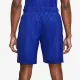 Теннисные шорты Nike Court Flex Victory Short 9in Printed CV2974-471