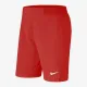 Теннисные шорты Nike Short Court Flex Ace CI9162-634