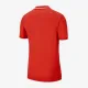 Теннисное поло Nike Court Dry-Fit BV1194-634
