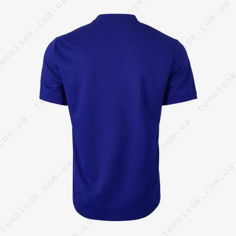 Тенісне поло Nike Court Dri-Fit Polo Blade CW6288-471