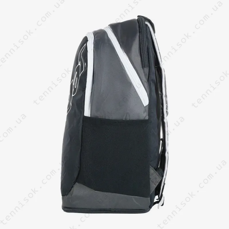 Теннисный рюкзак Babolat Evo Court Backpack 753103/107