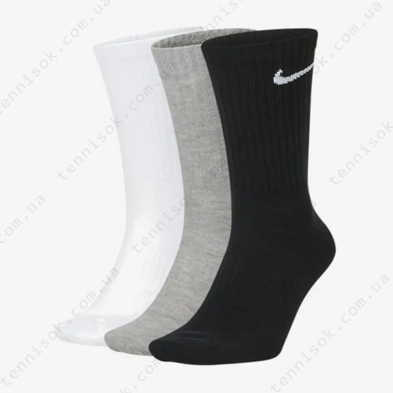 Шкарпетки Nike Everyday Lightweight SX7676-901