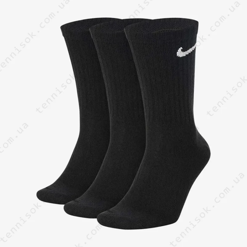 Шкарпетки Nike Everyday Lightweight SX7676-010