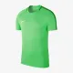 Теннисная футболка Nike Dry Academy 18 Shirt Kids 893750-361