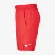 Теннисные шорты Nike Court Dri-FIT AR2484-687