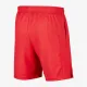 Теннисные шорты Nike Court Dri-FIT AR2484-687