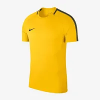 Теннисная футболка Nike Dry Academy 18 Shirt Kids 893750-719