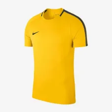 Теннисная футболка Nike Dry Academy 18 Shirt Kids 893750-719