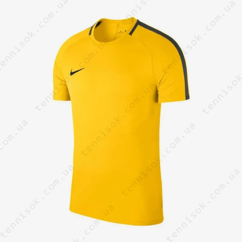 Теннисная футболка Nike Dry Academy 18 Shirt Kids 893750-719