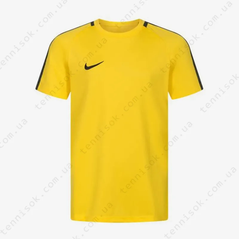 Теннисная футболка Nike Dry Academy 18 Shirt Kids 893750-719