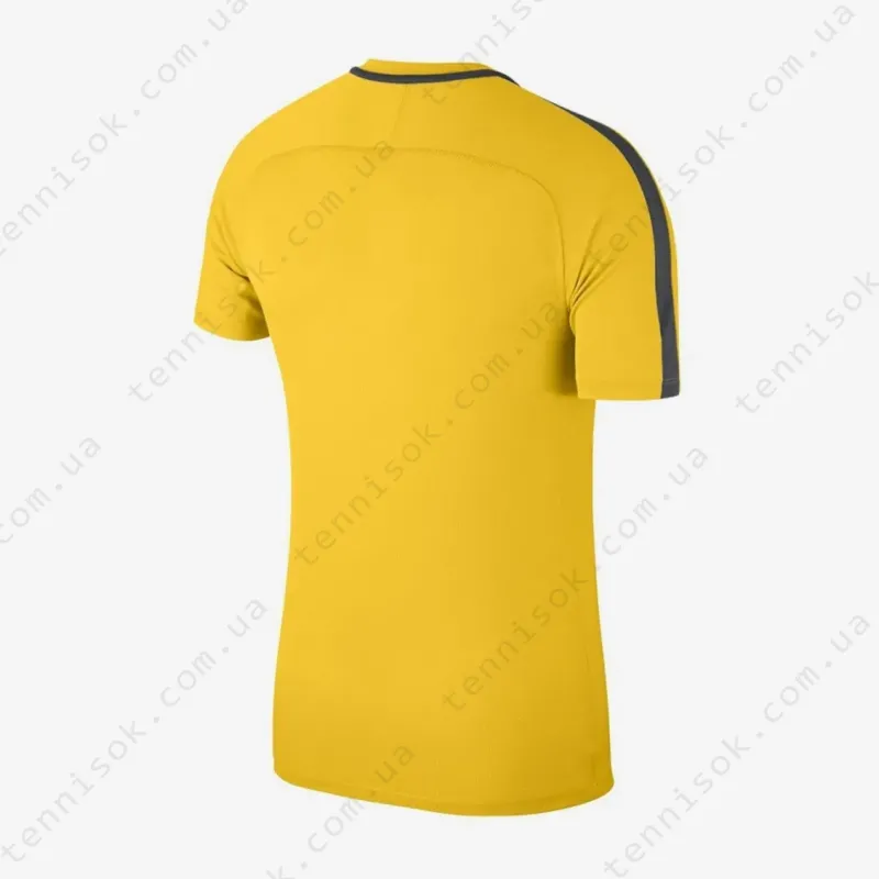 Теннисная футболка Nike Dry Academy 18 Shirt Kids 893750-719