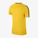 Теннисная футболка Nike Dry Academy 18 Shirt Kids 893750-719