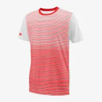 Теннисная футболка Wilson Team Striped T-Shirt WRA767204