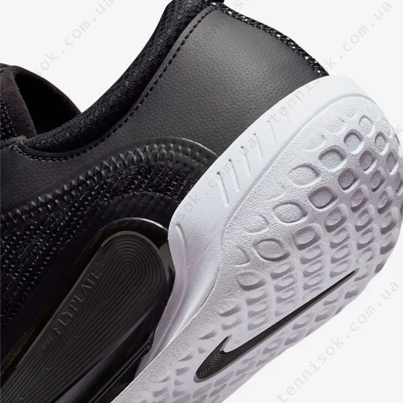 Теннисные кроссовки Nike Court Zoom NXT HC DH0219-010
