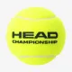 Теннисные мячи Head Championship 72ball