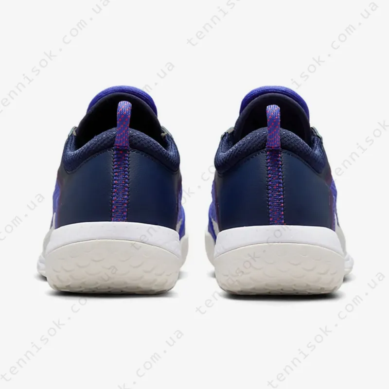 Тенісні кросівки Nike Court Zoom NXT HC DH0219-400