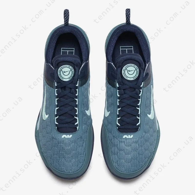 Теннисные кроссовки Nike Court Zoom NXT HC DH0219-410