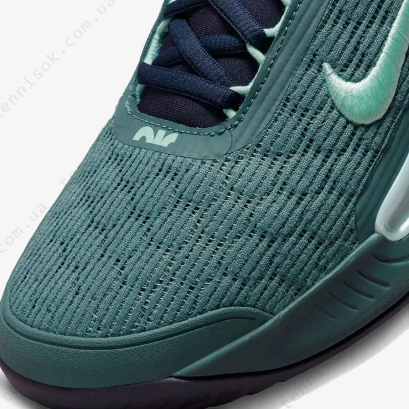 Теннисные кроссовки Nike Court Zoom NXT HC DH0219-410