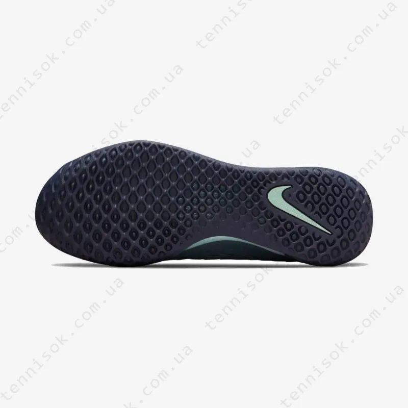 Теннисные кроссовки Nike Court Zoom NXT HC DH0219-410