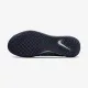Теннисные кроссовки Nike Court Zoom NXT HC DH0219-410