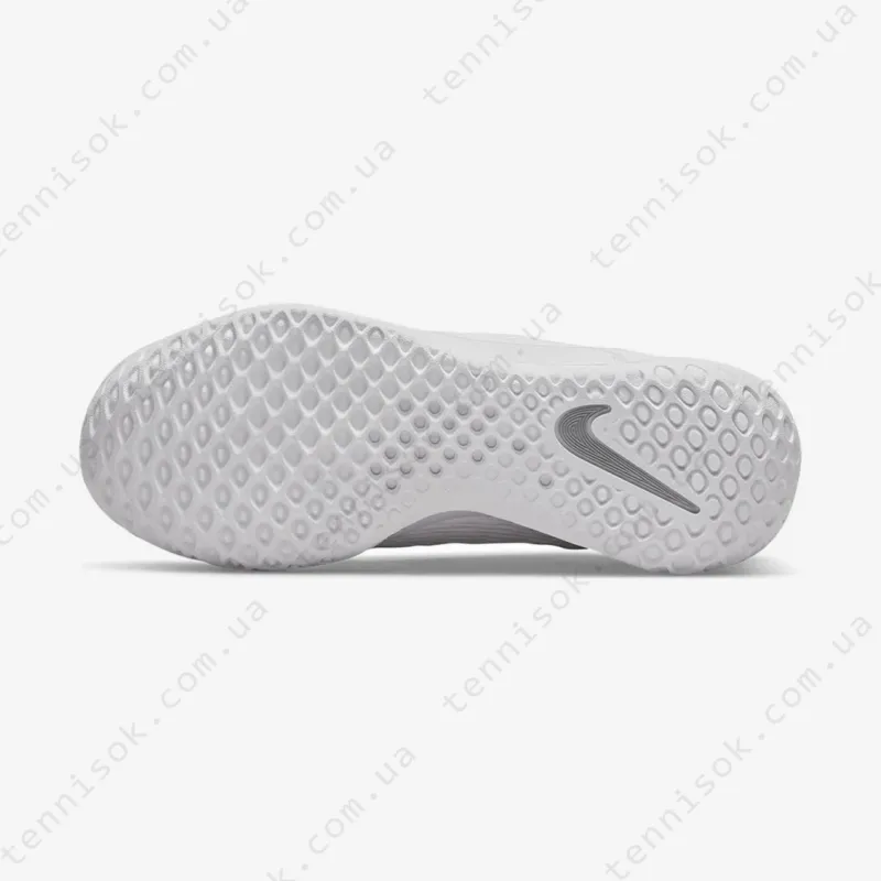 Теннисные кроссовки Nike Court Zoom NXT HC DH0222-101